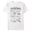 Kohl's Shark Week Deals: Up to 45% off + extra 20% off + free shipping w/ $49