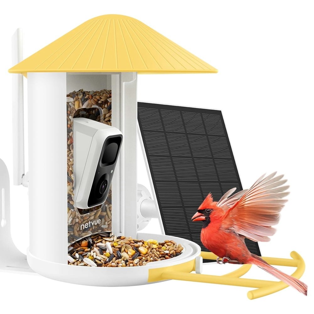 Netvue Birdfy AI Smart Bird Feeder Camera with Solar Panel: $142.99 Netvue Birdfy AI Smart Bird Feeder Camera with Solar Panel: $142.99