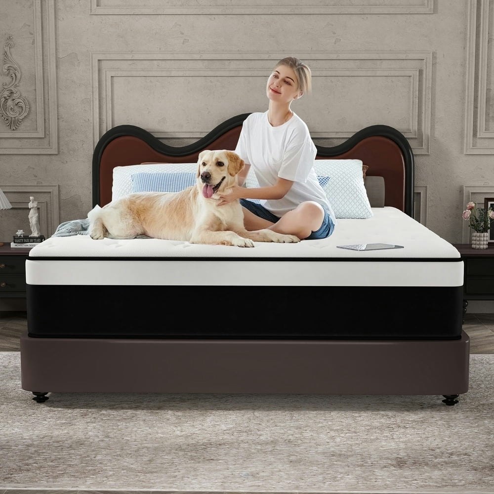 Cicimlu 12-inch Queen Hybrid Mattress: $158.69