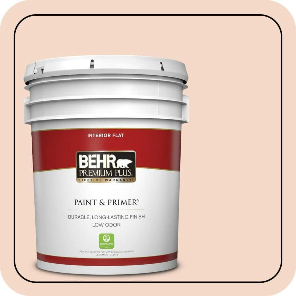 Behr 5-Gallon Flat Interior Paint and Primer: $154 Behr 5-Gallon Flat Interior Paint and Primer: $154