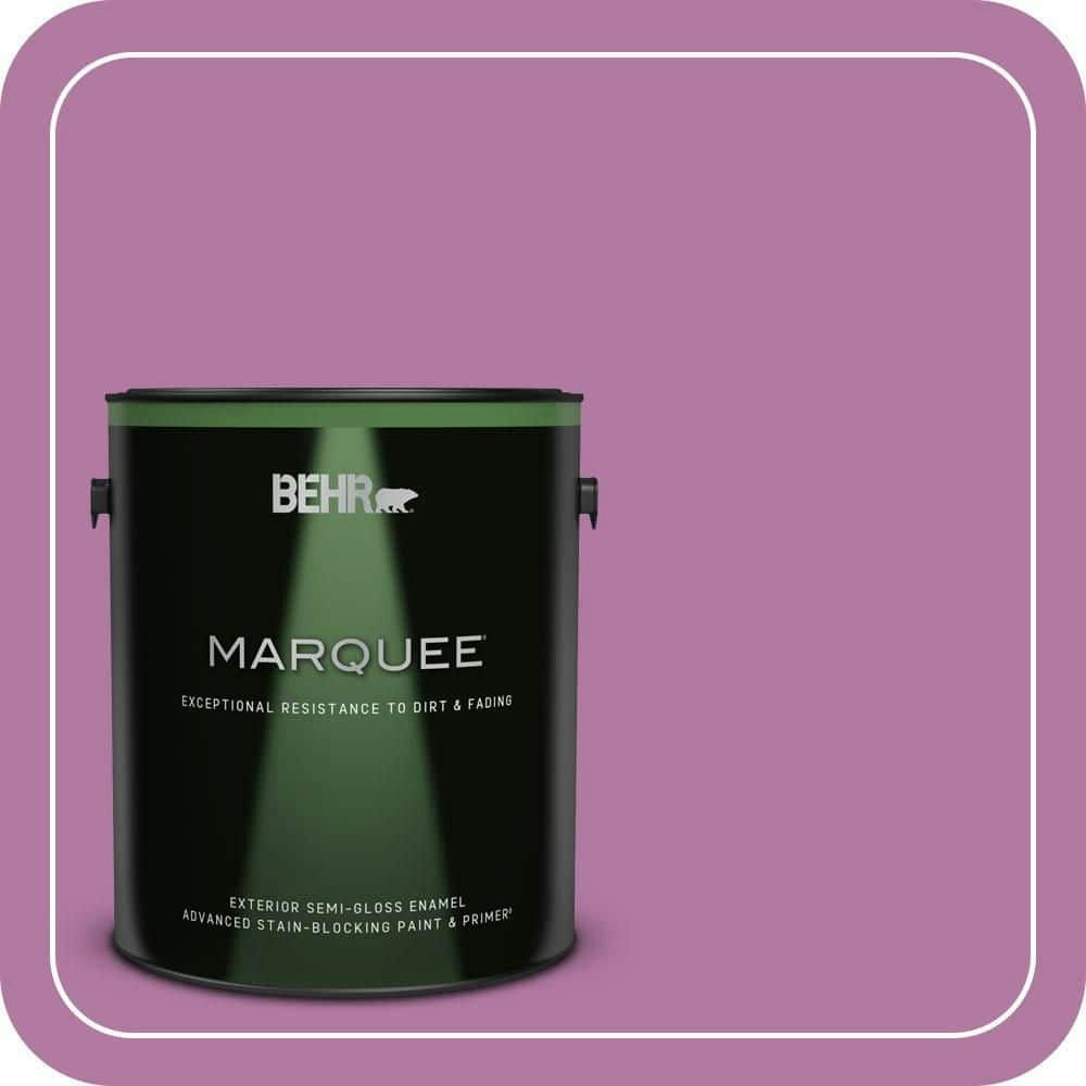 Home Decorators Collection 1-Gallon Cactus Flower Semi-Gloss Exterior Paint and Primer: $71.98 Home Decorators Collection 1-Gallon Cactus Flower Semi-Gloss Exterior Paint and Primer: $71.98