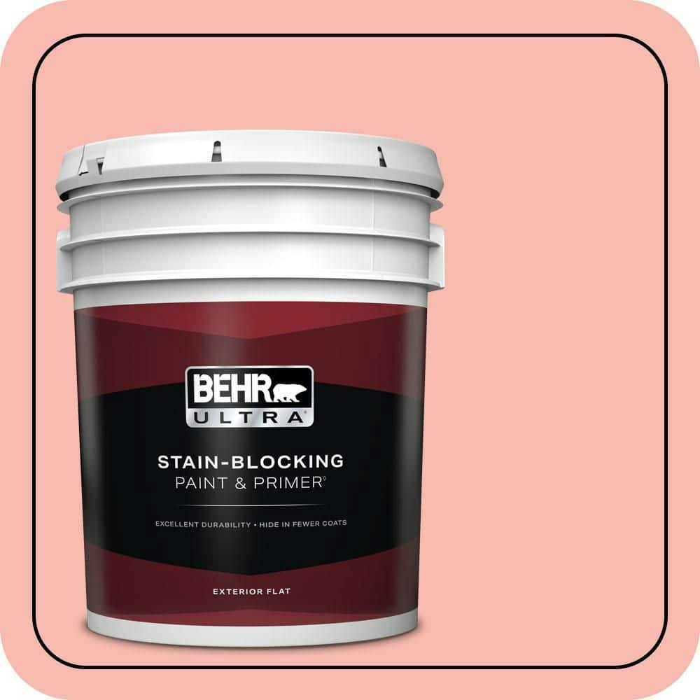 Mixed Fruit Flat Exterior Paint and Primer 5-Gallon: $273 Mixed Fruit Flat Exterior Paint and Primer 5-Gallon: $273