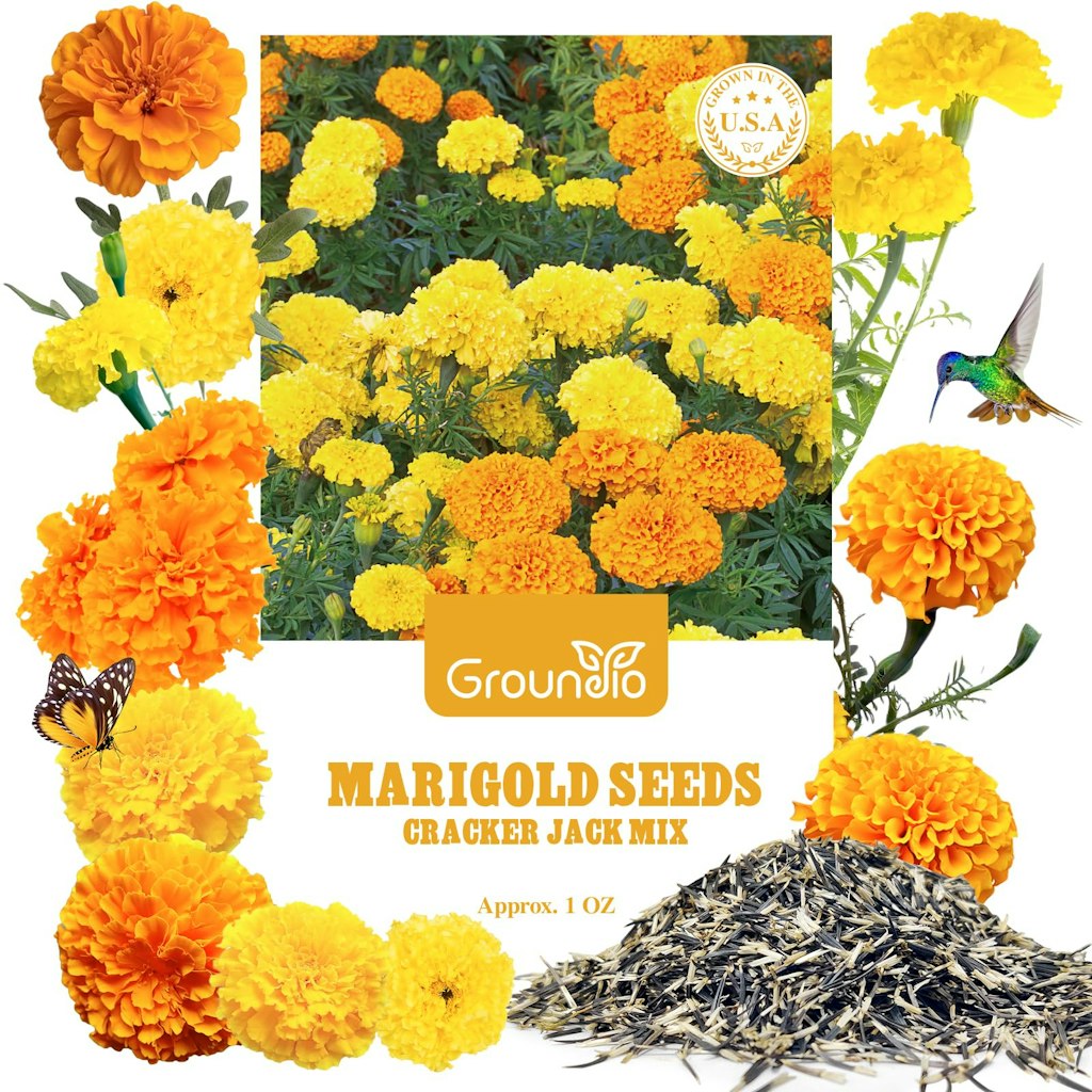 9500+ Marigold Seeds: $6.99 9500+ Marigold Seeds: $6.99