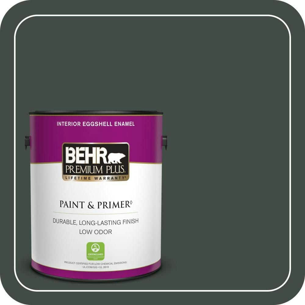 Home Decorators Collection Sporting Green 1-Gallon Eggshell Interior Paint & Primer: $37.98 Home Decorators Collection Sporting Green 1-Gallon Eggshell Interior Paint & Primer: $37.98