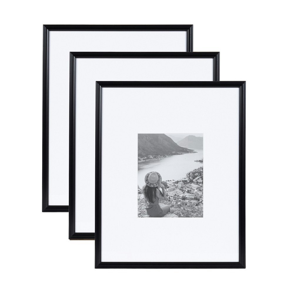 Kate & Laurel Adlynn 16"x20" Picture Frame 3-Pack: $79.99 Kate & Laurel Adlynn 16"x20" Picture Frame 3-Pack: $79.99