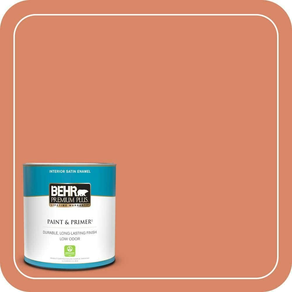 Behr King Salmon Satin Enamel Interior Paint & Primer 1-Quart: $19.48 Behr King Salmon Satin Enamel Interior Paint & Primer 1-Quart: $19.48