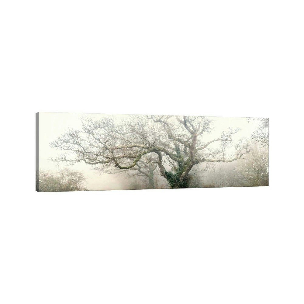 Philippe Manguin Octopus Ghost Oak 16"x48" Wall Canvas: $93.99 Philippe Manguin Octopus Ghost Oak 16"x48" Wall Canvas: $93.99