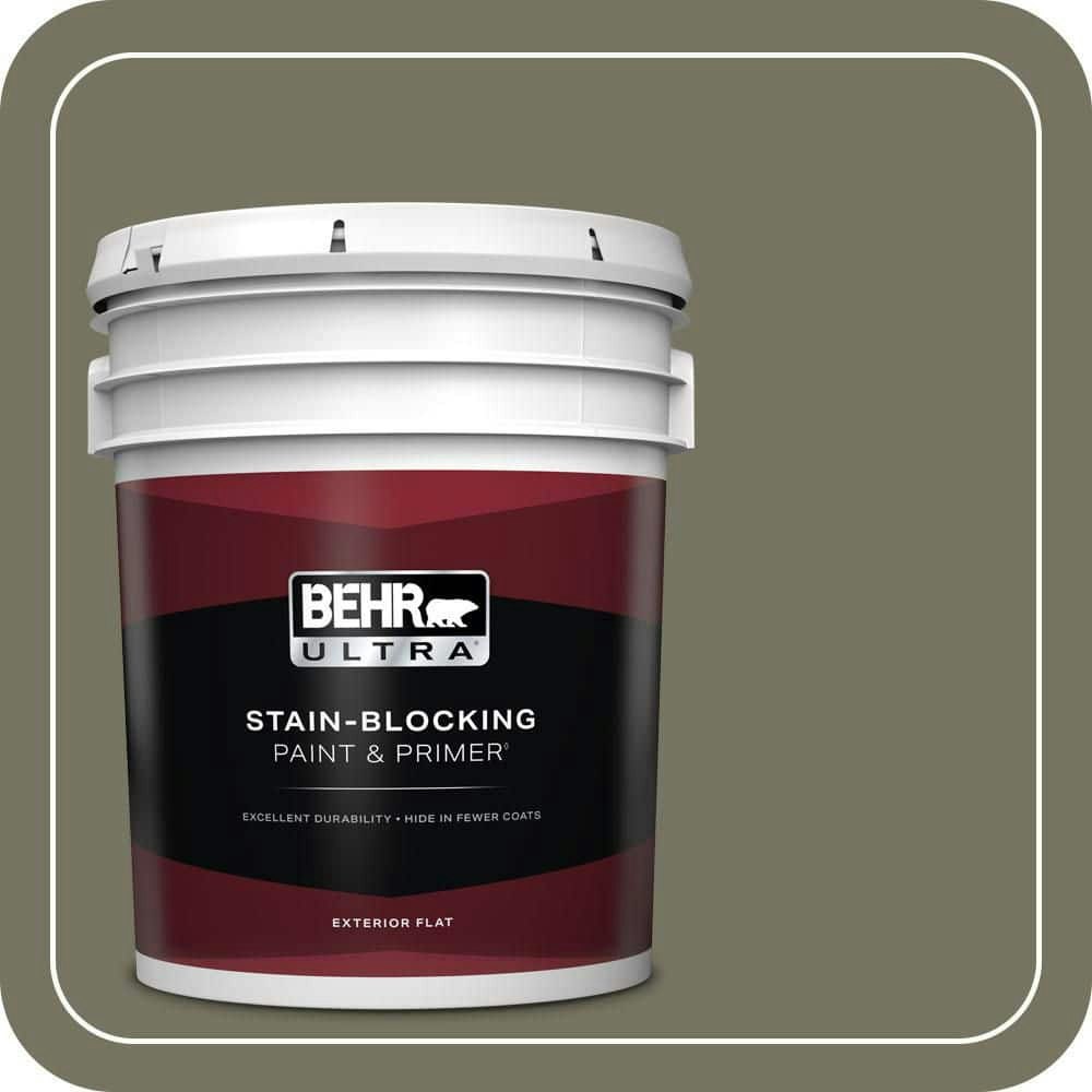Amazon River 5-Gallon Flat Exterior Paint and Primer: $273