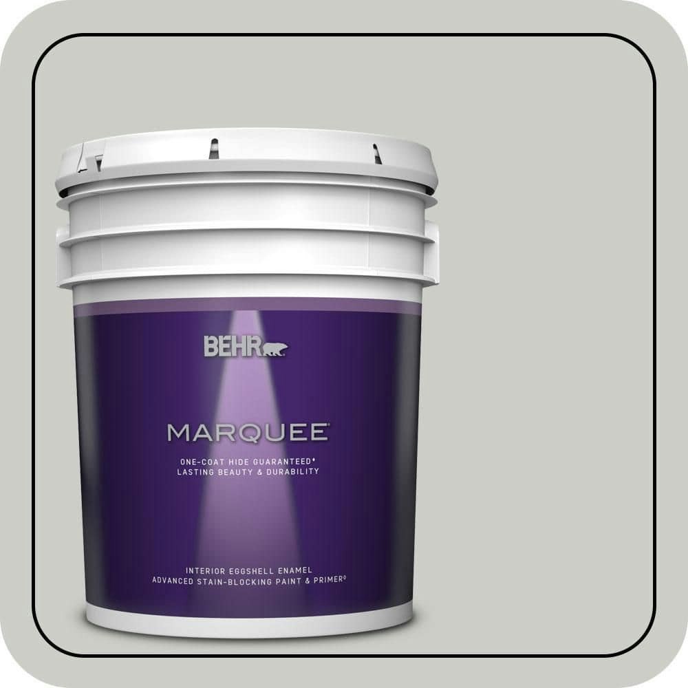 Mexican Silver Eggshell Enamel Interior Paint and Primer 5-Gallon: $273 Mexican Silver Eggshell Enamel Interior Paint and Primer 5-Gallon: $273
