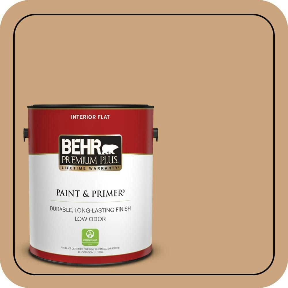 Albuquerque Flat Interior Paint and Primer 1-Gallon: $34.98 Albuquerque Flat Interior Paint and Primer 1-Gallon: $34.98