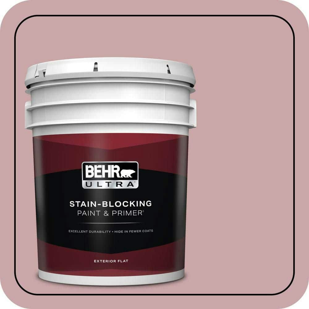 Home Decorators Collection 5-Gallon Hydrangea Bouquet Flat Exterior Paint and Primer: $273 Home Decorators Collection 5-Gallon Hydrangea Bouquet Flat Exterior Paint and Primer: $273