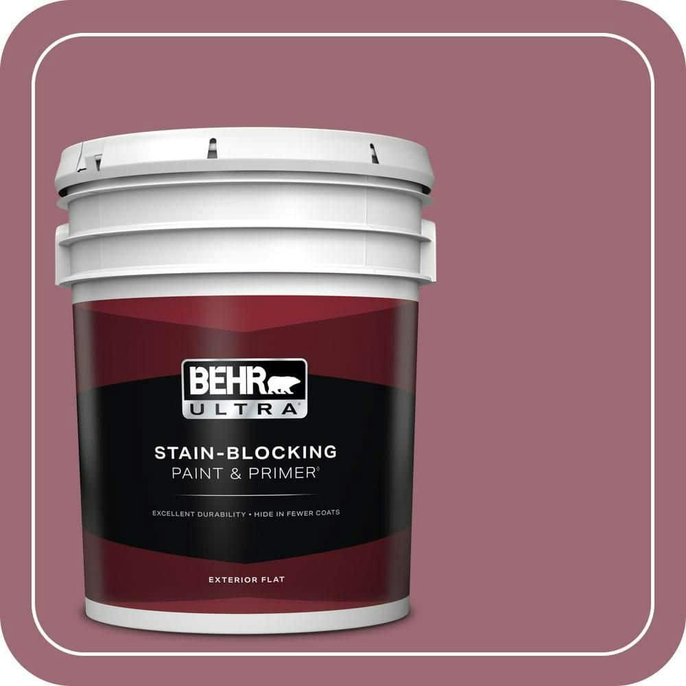 Behr 5-Gallon Berries and Cream Flat Exterior Paint and Primer: $273 Behr 5-Gallon Berries and Cream Flat Exterior Paint and Primer: $273