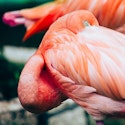 Oceania 7-Night Mexico, Honduras, and Belize Cruise for From $6,560 for 2