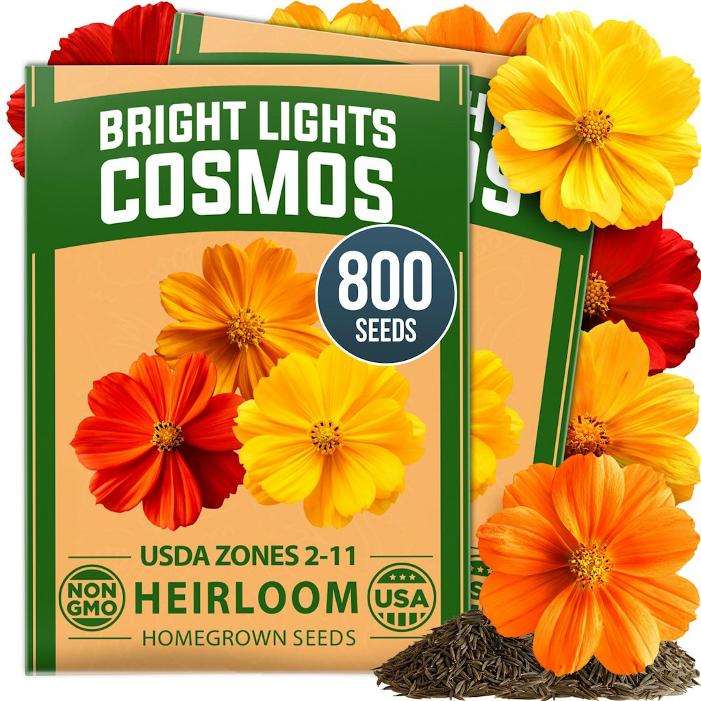 800 Bright Lights Cosmos Mix Seeds: $7.18 800 Bright Lights Cosmos Mix Seeds: $7.18