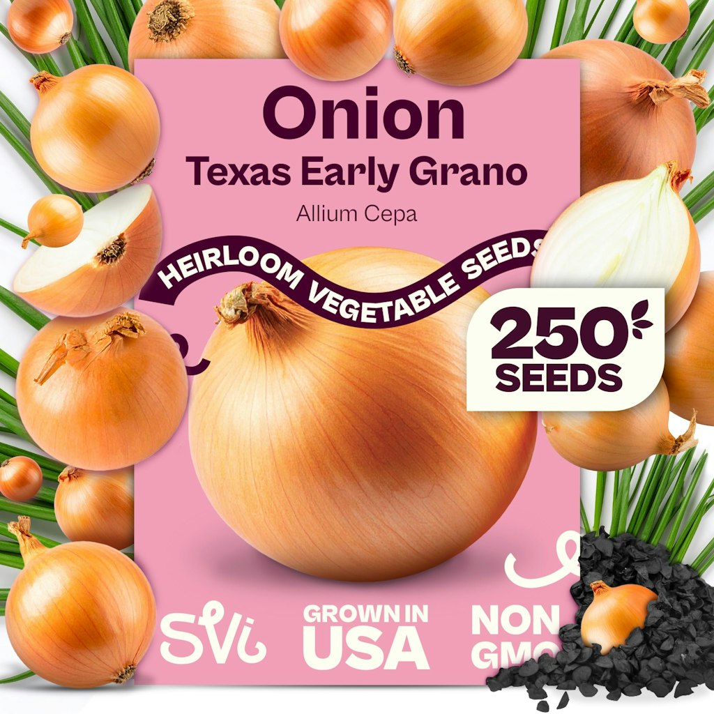 250 Texas Early Grano Onion Seeds: $4.84 250 Texas Early Grano Onion Seeds: $4.84