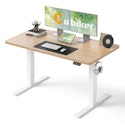 Cubiker 48x24" Adjustable Electric Standing Desk for $80 + free shipping