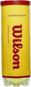 WILSON Championship Tennis Balls for $3 + free shipping w/ Prime