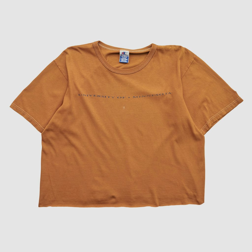 Minnesota Golden Gophers Champion 90s T-Shirt: $24.99 Minnesota Golden Gophers Champion 90s T-Shirt: $24.99