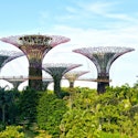Princess 14-Night Southeast Asia and Japan Cruise for From $4,718 for 2