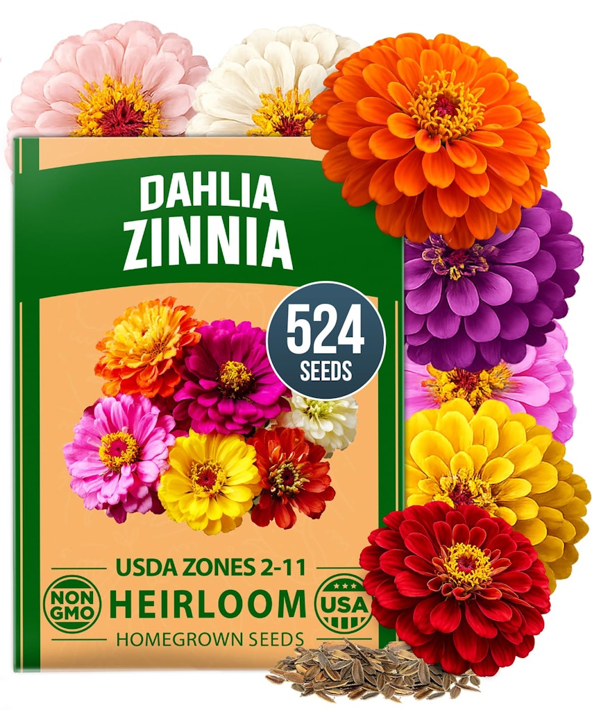 HOME GROWN Zinnia Dahlia 524-Count Flower Seeds Pack: $5.59