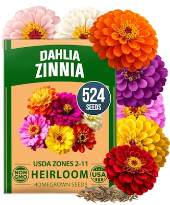 HOME GROWN Zinnia Dahlia 524-Count Flower Seeds Pack for $6 + free shipping w/ Prime