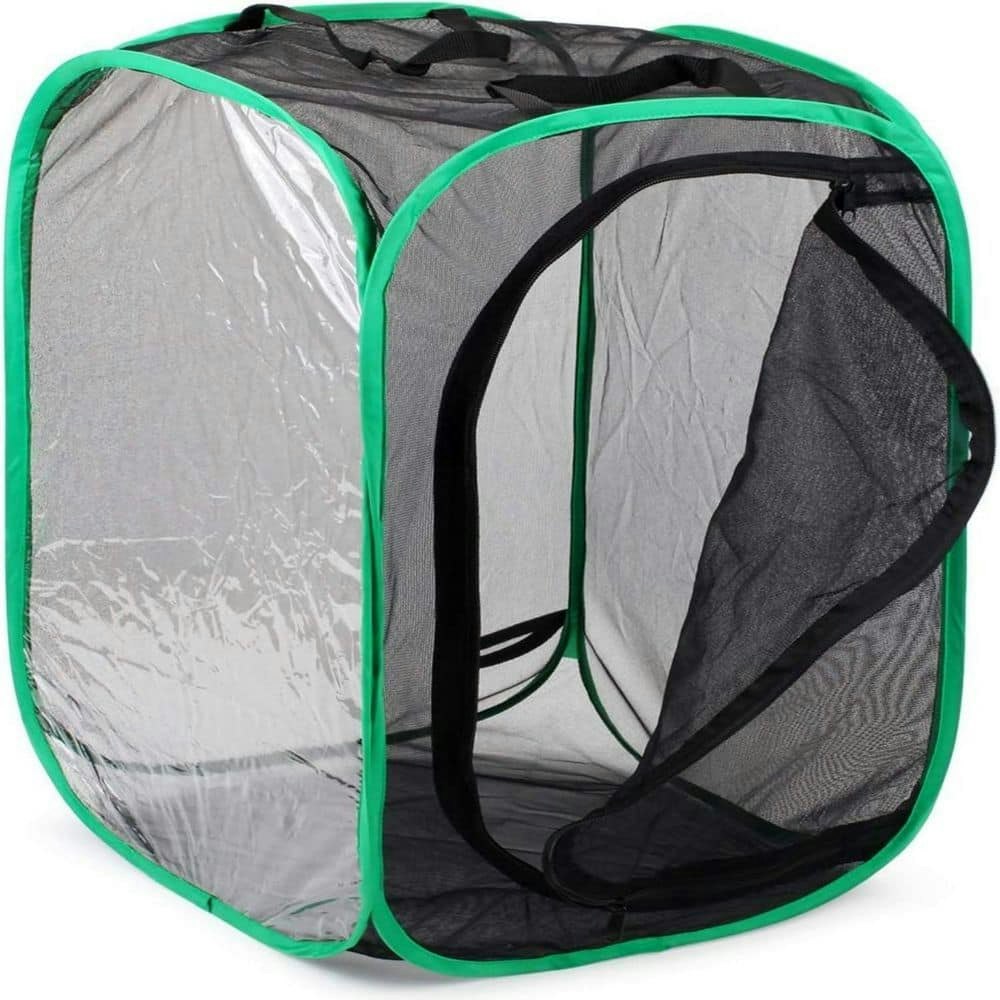 23.6-Inch Pop-up Insect and Butterfly Habitat Cage: $57.13