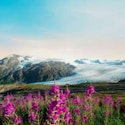 Holland America Line 7-Night Alaska Inside Passage Cruise for From $1,928 for 2