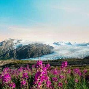 Holland America Line 7-Night Alaska Inside Passage Cruise: From $1,928 for 2 Holland America Line 7-Night Alaska Inside Passage Cruise: From $1,928 for 2