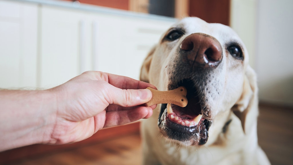 Petco Dog Treats and Chews Deals: Buy 3, Get 1 Free