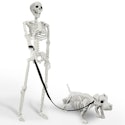 36" Lighted Posable Human and Dog Skeleton Halloween Decoration for $35 + free shipping w/ Prime