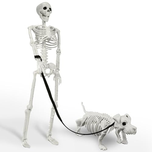 36" Lighted Posable Human and Dog Skeleton Halloween Decoration: $34.99