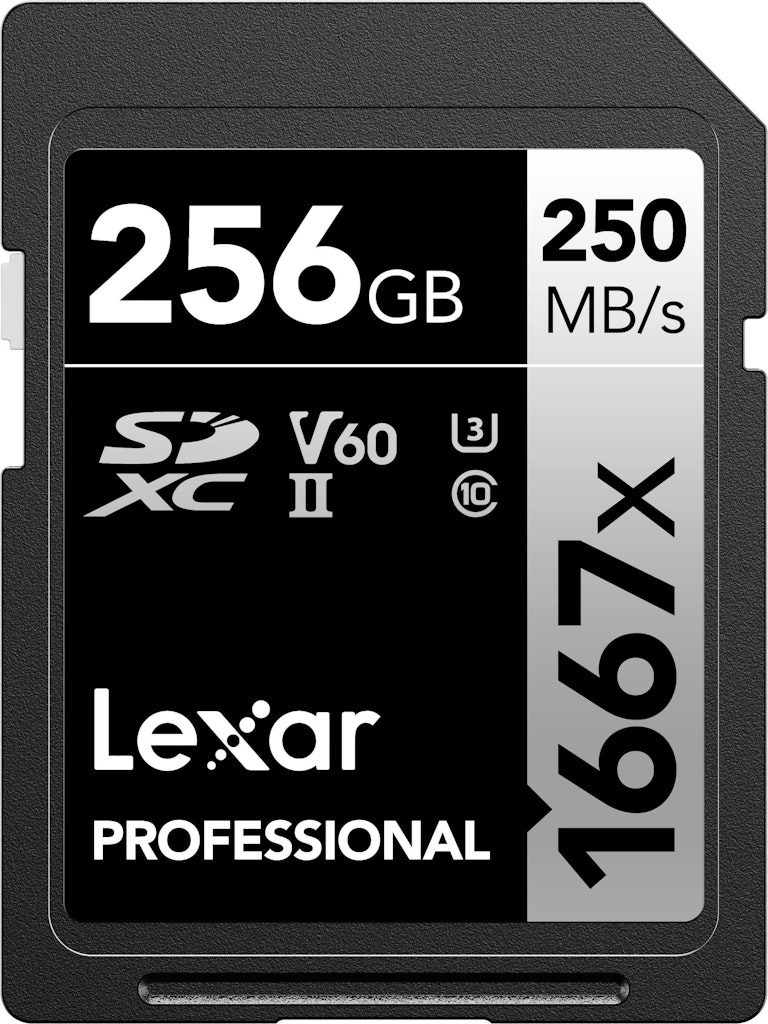 Lexar Professional 1667x 256GB SDXC Memory Card: $148.99 Lexar Professional 1667x 256GB SDXC Memory Card: $148.99