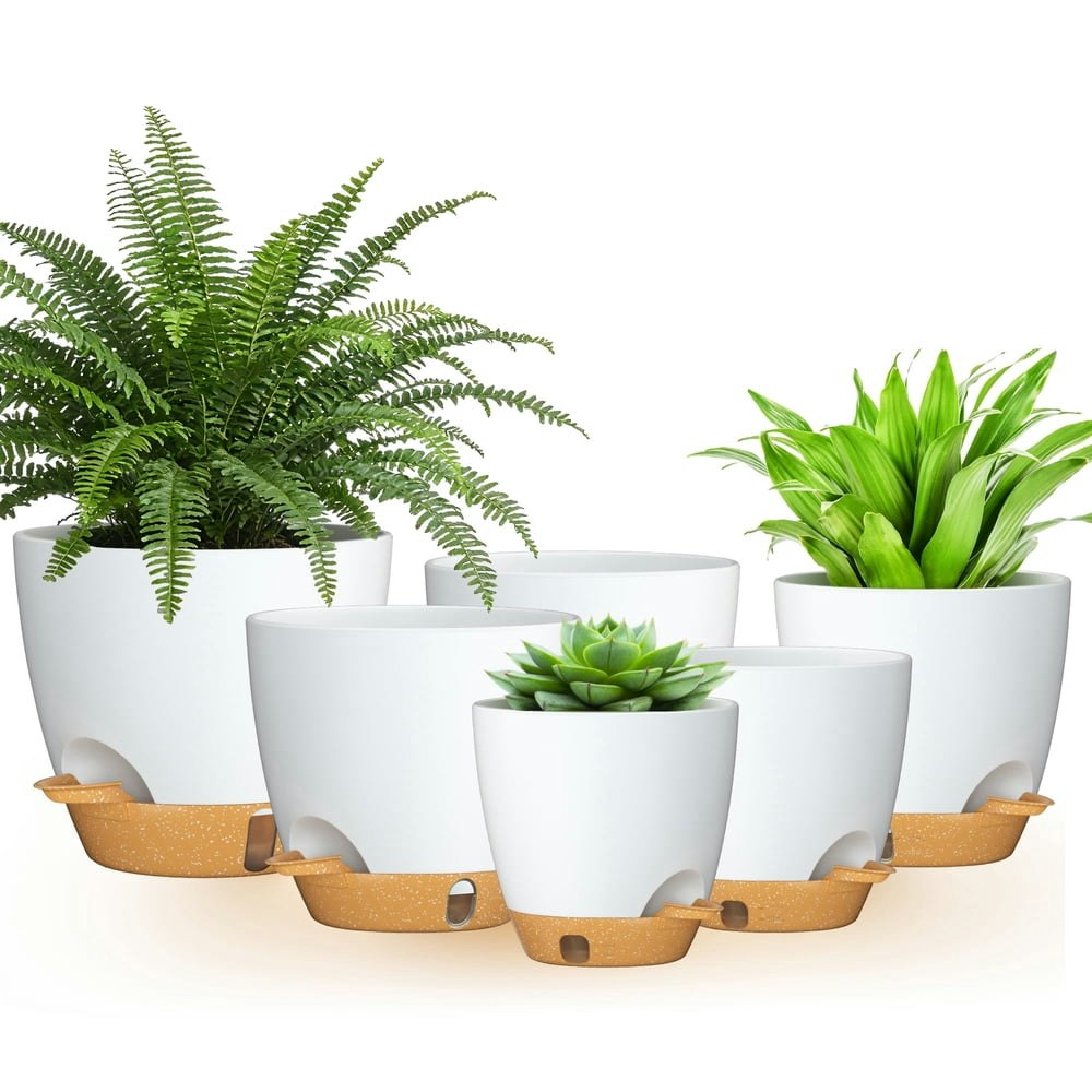Fiason Self-Watering Plant Pot 6-Pack: $21.59 Fiason Self-Watering Plant Pot 6-Pack: $21.59