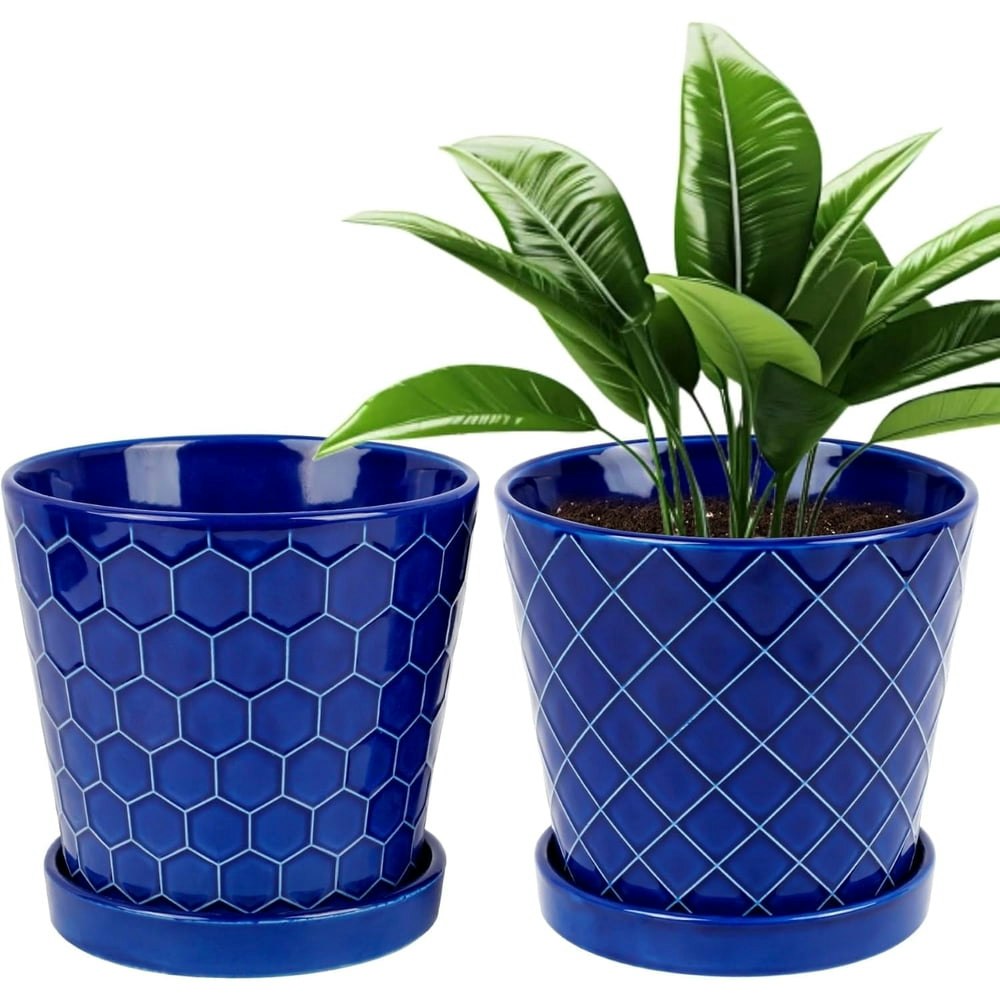 Buymax 6-inch Ceramic Plant Pot 2-Pack: $18.59 Buymax 6-inch Ceramic Plant Pot 2-Pack: $18.59