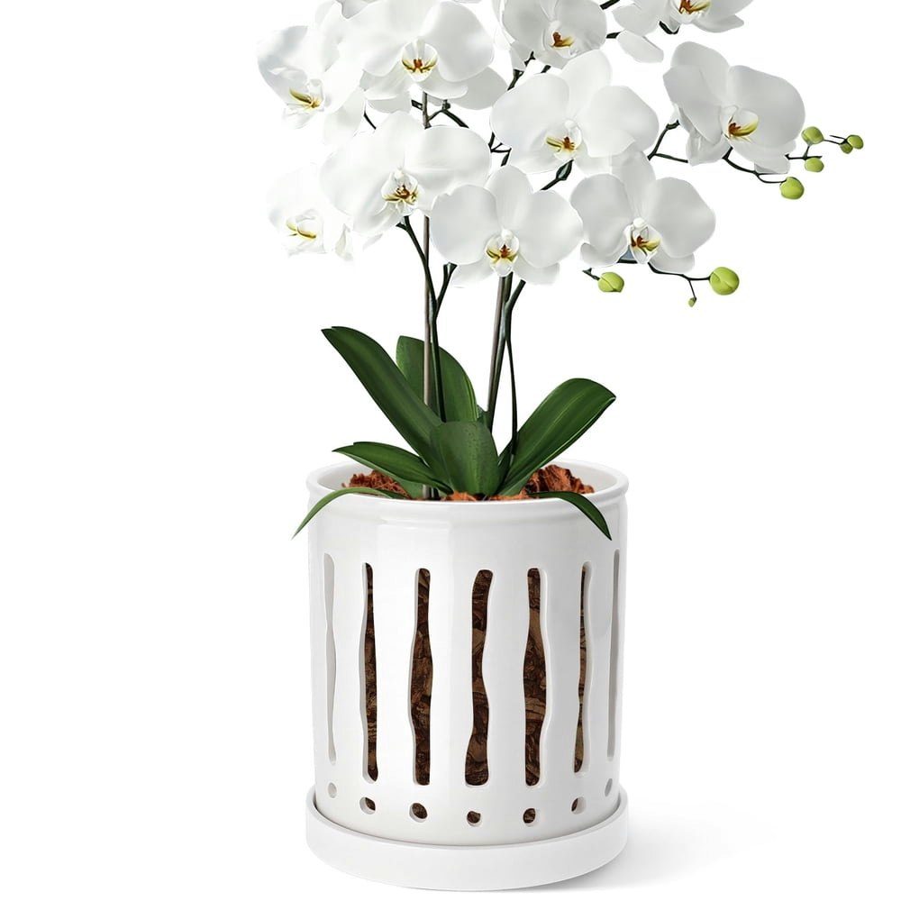 Buymax 6-inch Ceramic Orchid Pot: $17.99 Buymax 6-inch Ceramic Orchid Pot: $17.99