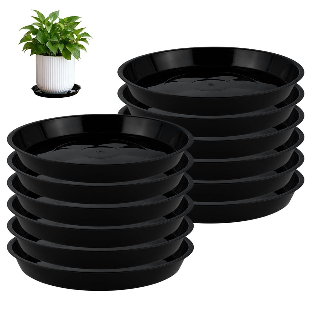 Urorentea 12-Inch Plastic Plant Saucers 12-Pack: $14.99 Urorentea 12-Inch Plastic Plant Saucers 12-Pack: $14.99