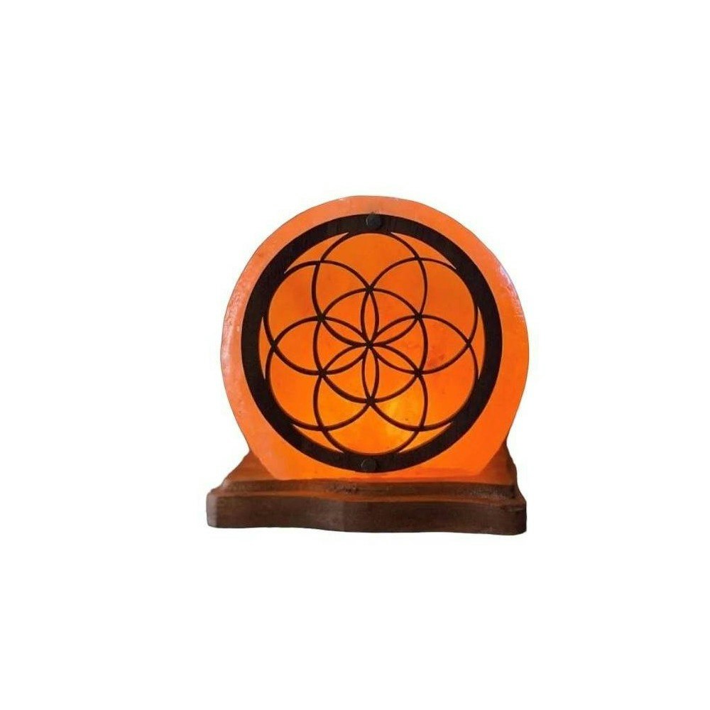 Q&A Himalayan Salt USB Table Lamp: $20.99