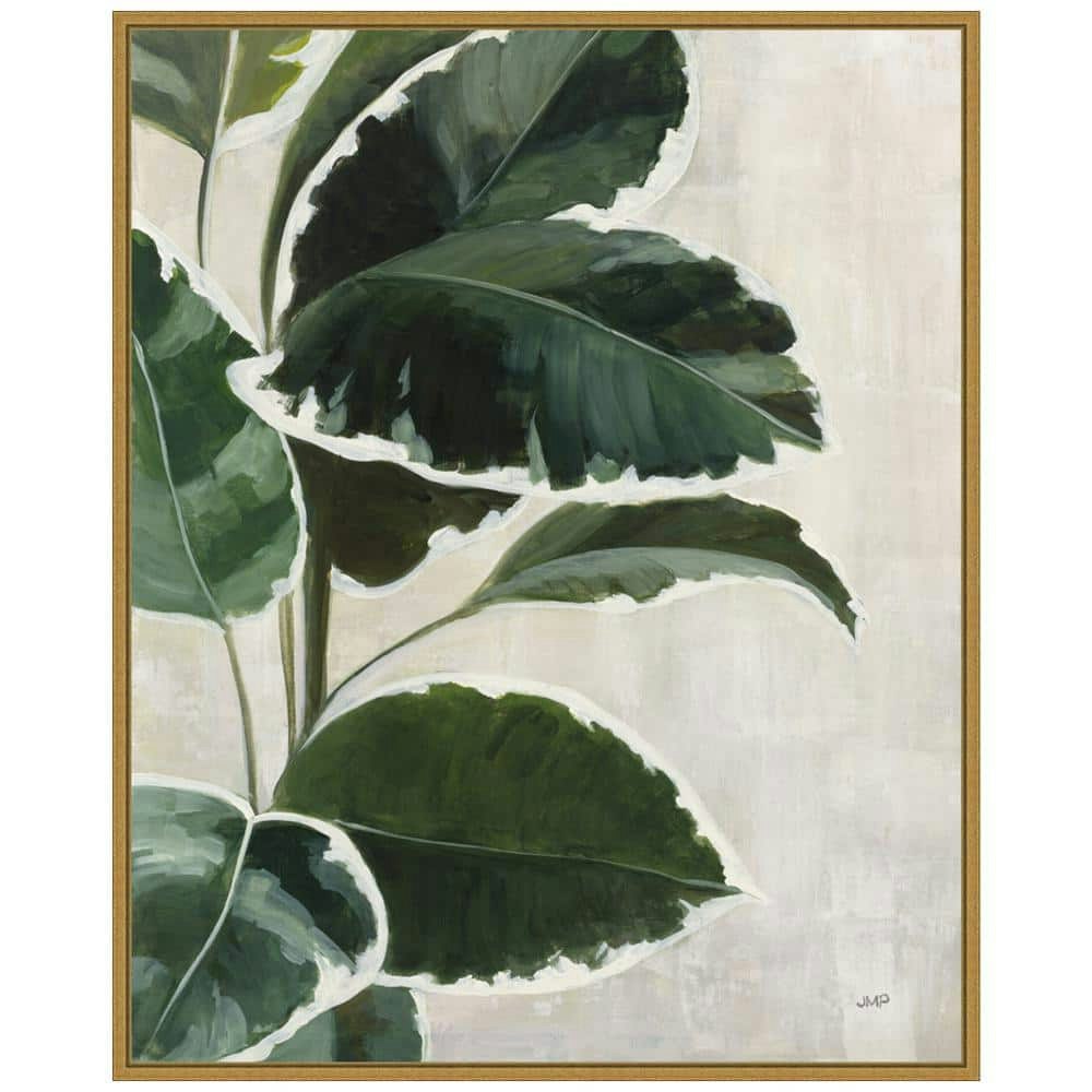 Julia Purinton Tropical Study I 28" x 23" Floater Frame Canvas Art Print: $88.99 Julia Purinton Tropical Study I 28" x 23" Floater Frame Canvas Art Print: $88.99
