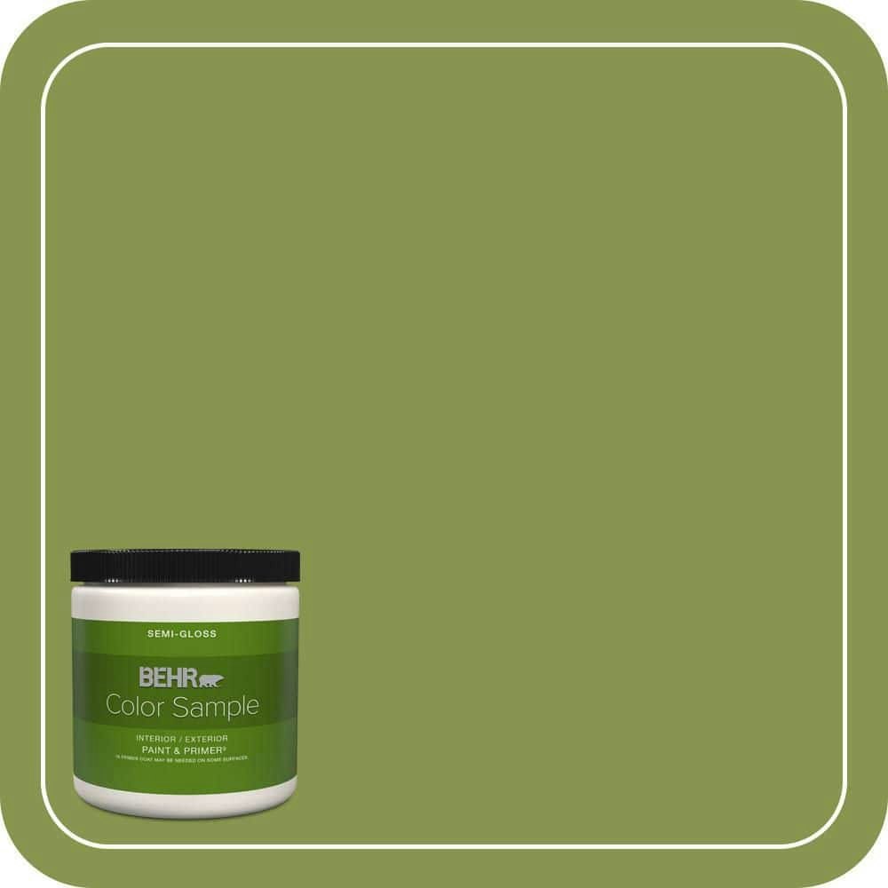 Frog Semi-Gloss Interior/Exterior Paint & Primer 8-oz. Sample: $5.98 Frog Semi-Gloss Interior/Exterior Paint & Primer 8-oz. Sample: $5.98