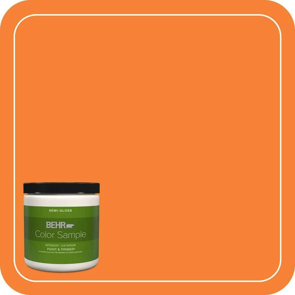 #230B-6 Orange Burst 8-oz. Interior/Exterior Paint and Primer Sample: $5.98 #230B-6 Orange Burst 8-oz. Interior/Exterior Paint and Primer Sample: $5.98