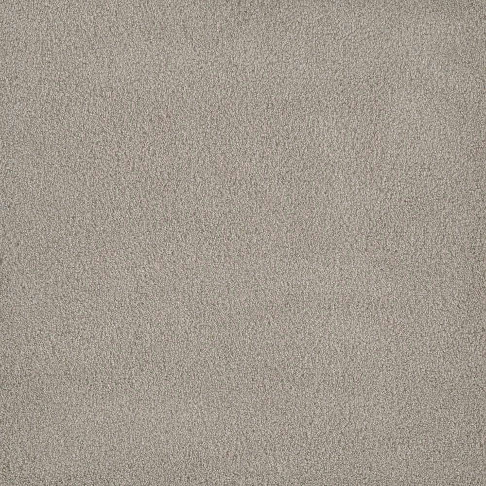 First Class I Texture Carpet Sample: $1 First Class I Texture Carpet Sample: $1