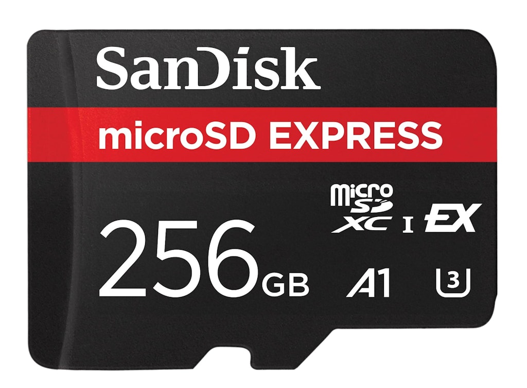 SanDisk 256GB microSD Express Card: $59