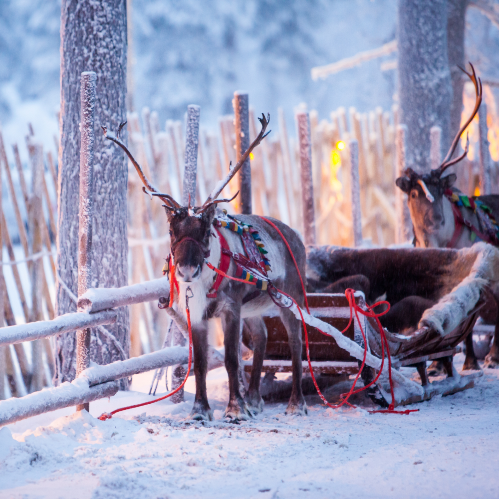 5-Night Finland Hotel & Tour Vacation: From $2,658 for 2 5-Night Finland Hotel & Tour Vacation: From $2,658 for 2