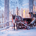 5-Night Finland Hotel & Tour Vacation for From $2,658 for 2