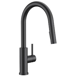 Forious Kitchen Faucet with Pull-Down Sprayer for $19 + free shipping w/ Prime