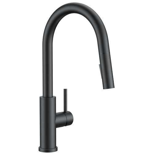 Forious Kitchen Faucet with Pull-Down Sprayer
