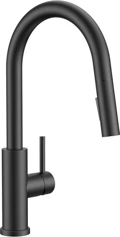 Forious Single-Handle Kitchen Faucet with Pull-Down Sprayer: $19.49