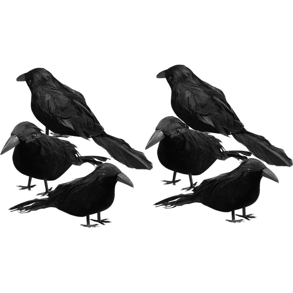Tetou Halloween Feathered Foam Crow Decor 6-Pack: $13.98 Tetou Halloween Feathered Foam Crow Decor 6-Pack: $13.98