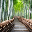 9-Night Tokyo, Kyoto & Osaka Flight, Hotel, and Tour Vacation for From $3,798 for 2