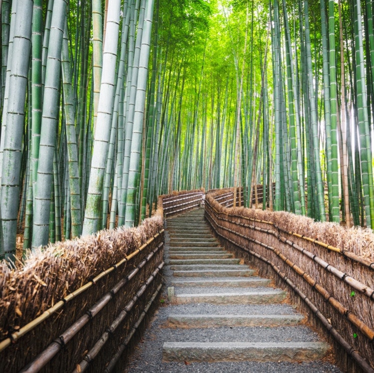 9-Night Tokyo, Kyoto & Osaka Flight, Hotel, and Tour Vacation: From $3,798 for 2
